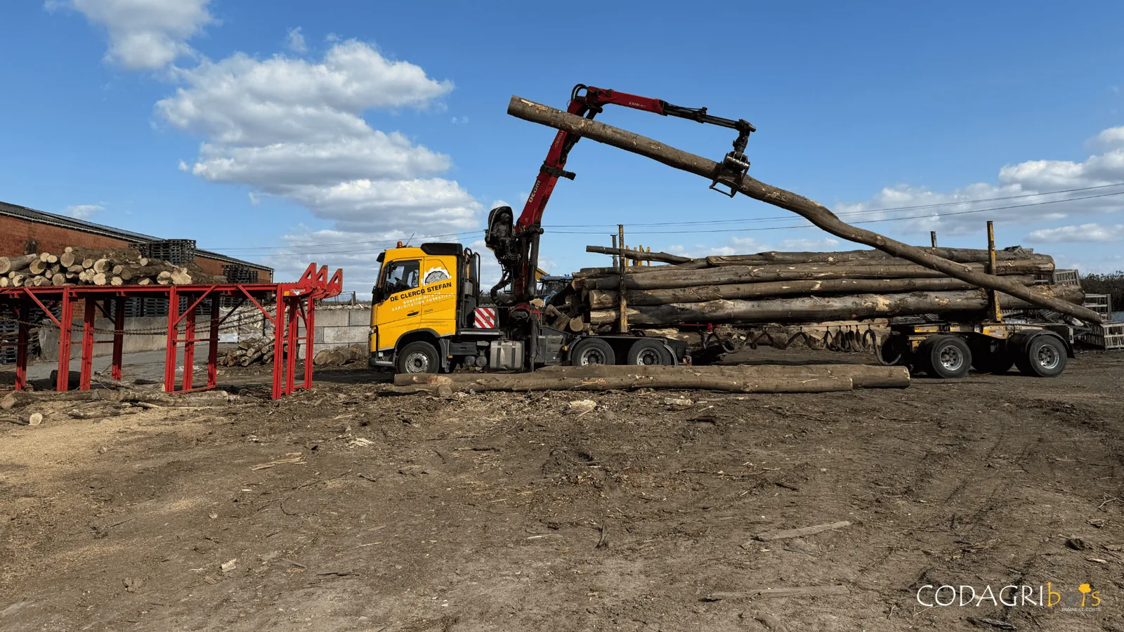 Camion grumier déchargeant des troncs